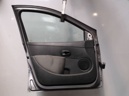 PORTE AVANT GAUCHE RENAULT CLIO III 2009-