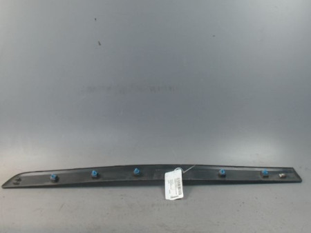 PROTECTION PORTE AVANT GAUCHE RENAULT KANGOO EXPRESS 2008-