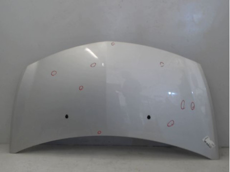 CAPOT RENAULT CLIO III 2007-