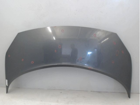 CAPOT RENAULT SCENIC II PH1 02-06