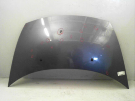 CAPOT CITROEN C3 2005-