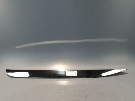 PROTECTION PORTE ARRIERE GAUCHE PEUGEOT 2008