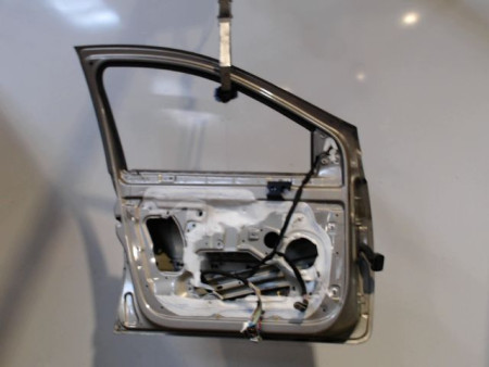 PORTE AVANT GAUCHE RENAULT CLIO III 2010-