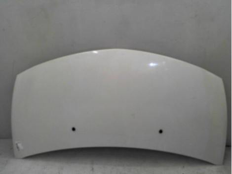 CAPOT RENAULT CLIO III 2005-