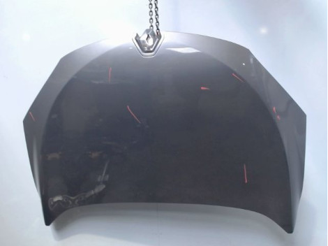 CAPOT RENAULT MEGANE III 2008-