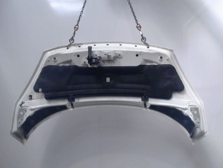 CAPOT RENAULT SCENIC III 2009-
