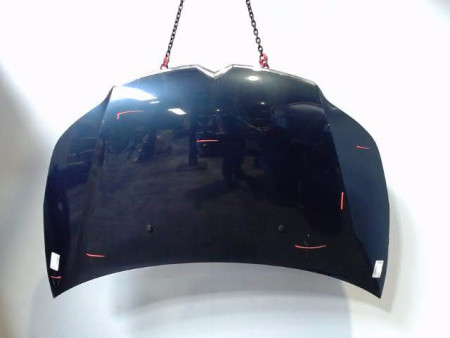 CAPOT CITROEN C4 2008-