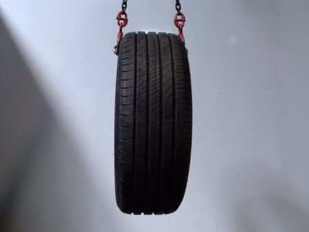 Pneu GOOD YEAR EFFICIENT GRIP PERFORMANCE 2 205 55 16 91 V