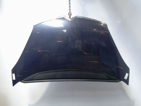 CAPOT CITROEN C4 PICASSO 007-