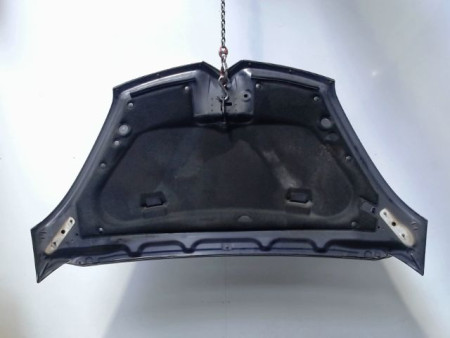 CAPOT CITROEN C4 PICASSO 007-