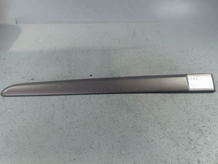 PROTECTION PORTE ARRIERE GAUCHE RENAULT MODUS LONGUE 2008-