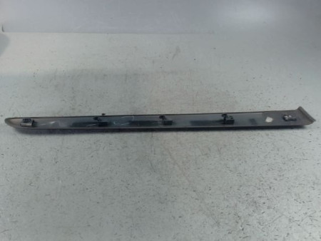 PROTECTION PORTE ARRIERE GAUCHE RENAULT MODUS LONGUE 2008-