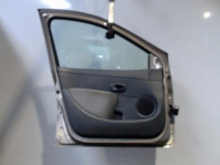 PORTE AVANT GAUCHE RENAULT CLIO III 2009-